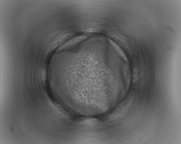 X0000113330210200910051153