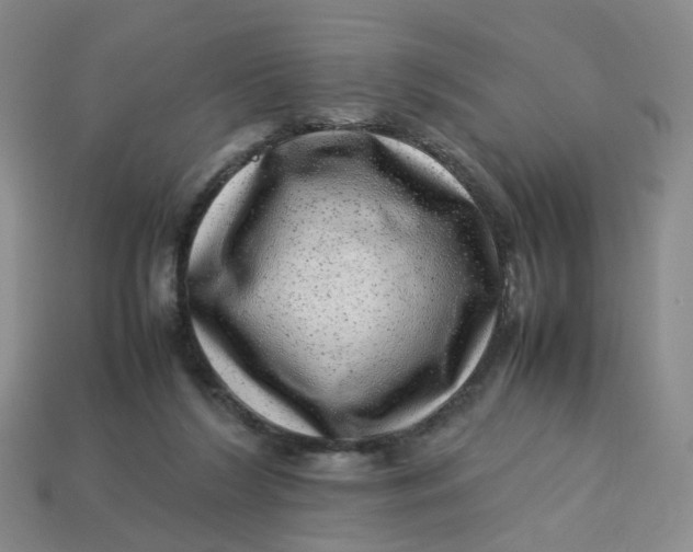 X0000113330212200910051153