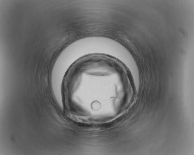 X0000113330213200910051153