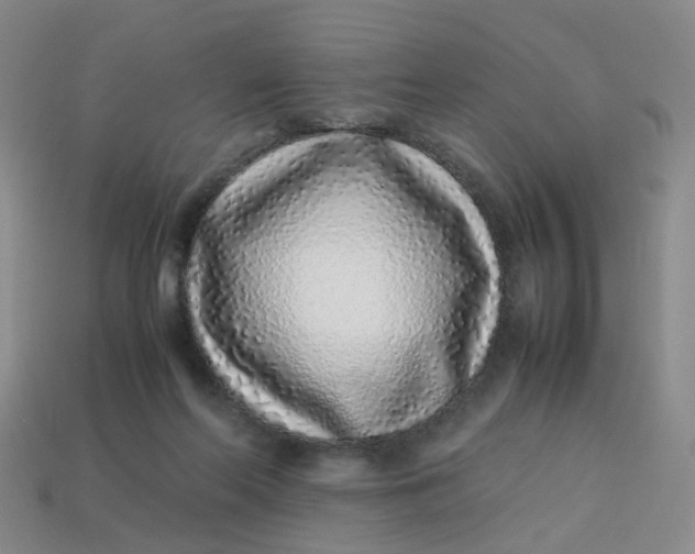 X0000113330214200910051153