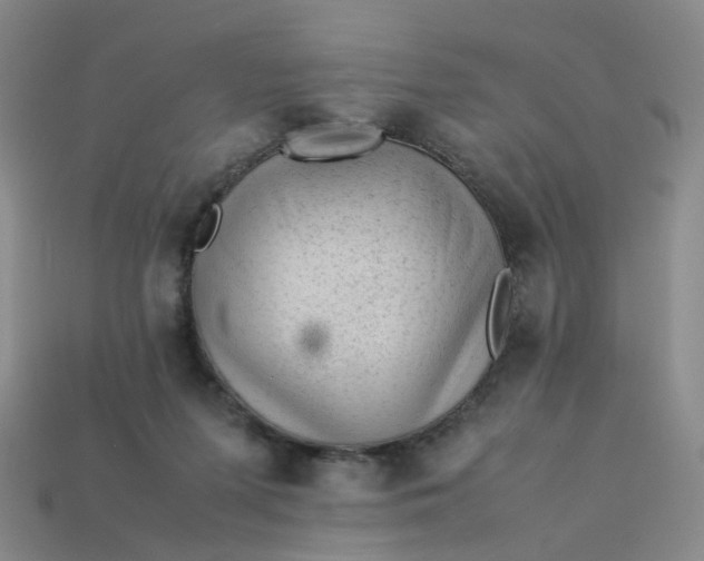 X0000113330215200910051153