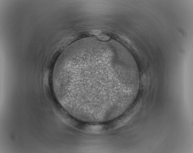 X0000113330217200910051153