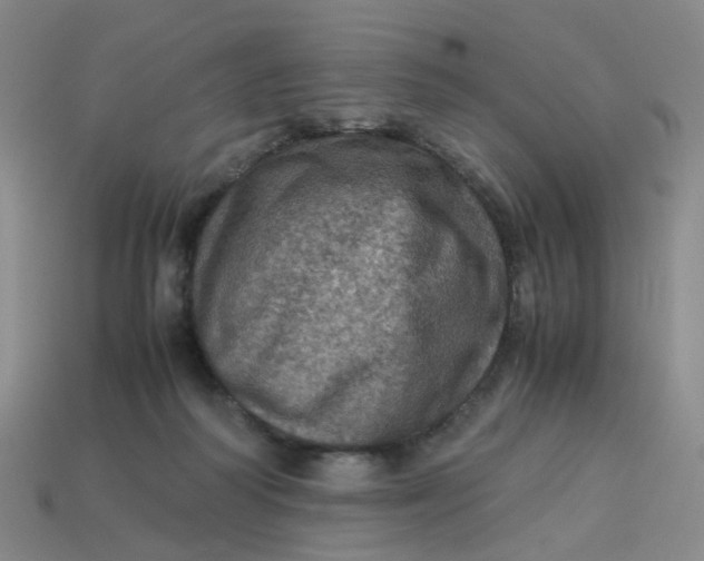 X0000113330218200910051153