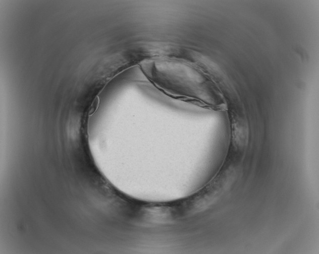 X0000113330221200910051153