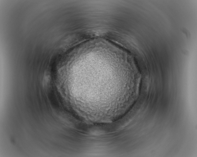 X0000113330222200910051153