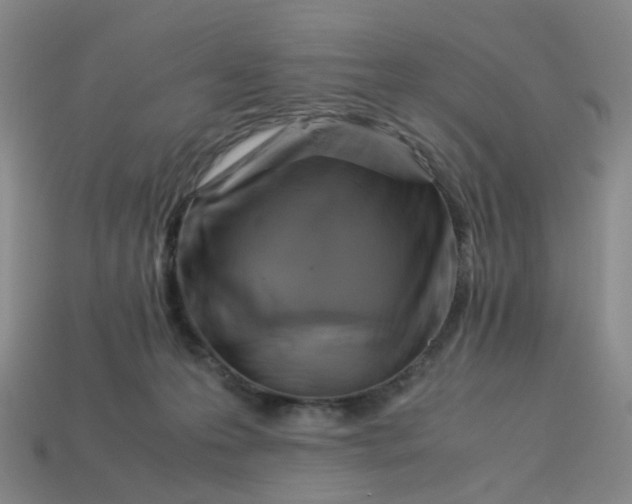 X0000113330223200910051153