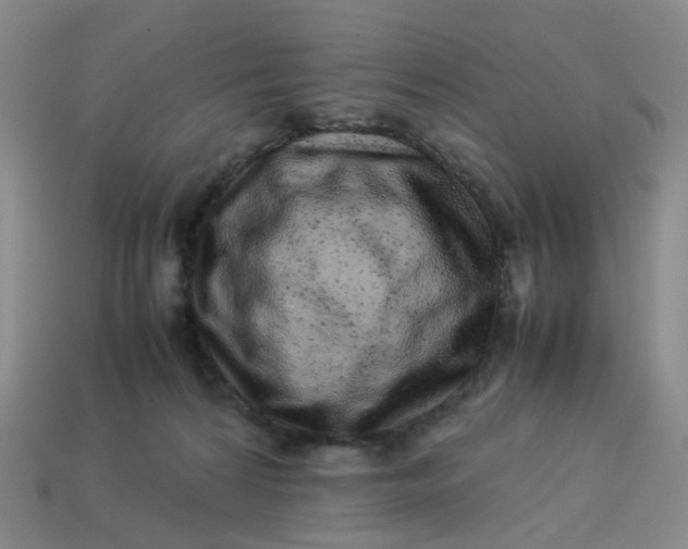 X0000113330224200910051153