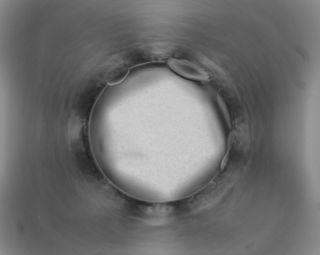 X0000113330225200910051153