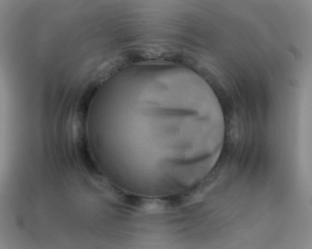 X0000113330226200910051153