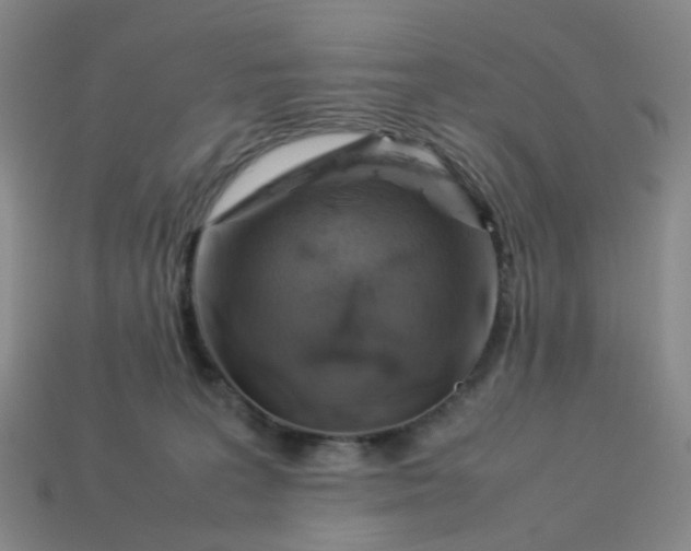 X0000113330227200910051153