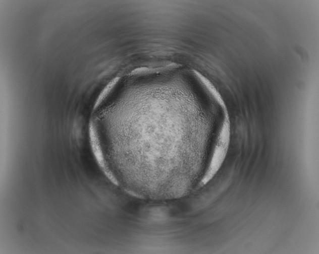 X0000113330228200910051153