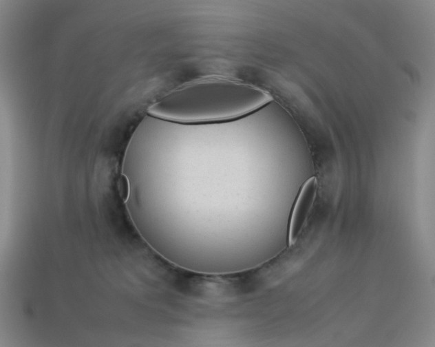 X0000113330229200910051153