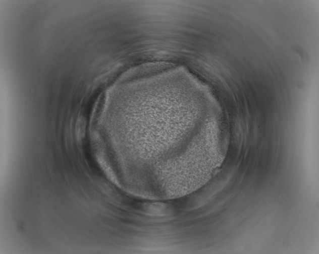 X0000113330230200910051153