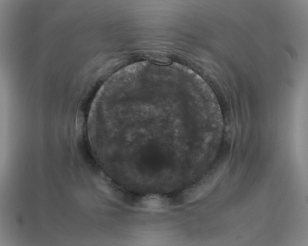 X0000113330231200910051153