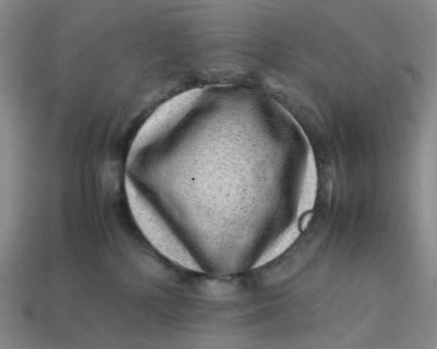 X0000113330232200910051153