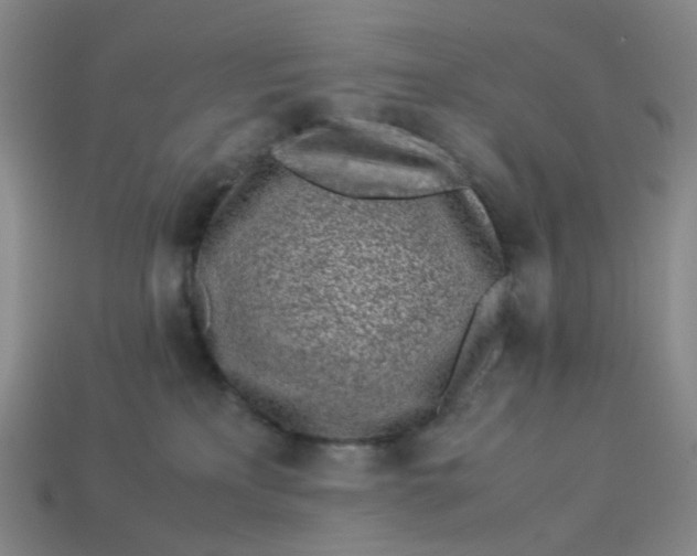 X0000113330233200910051153