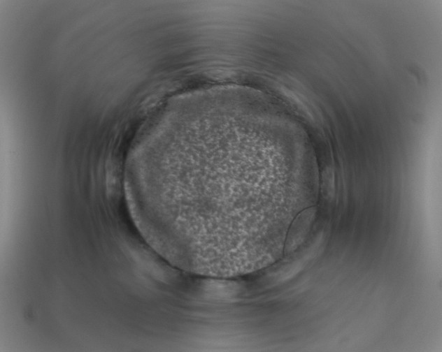 X0000113330234200910051153