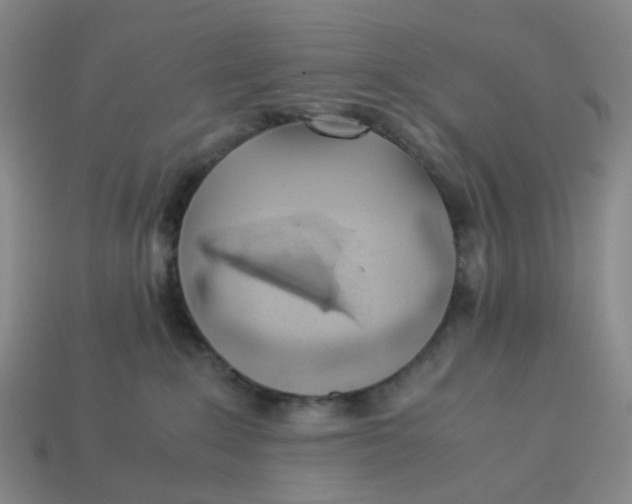 X0000113330235200910051153
