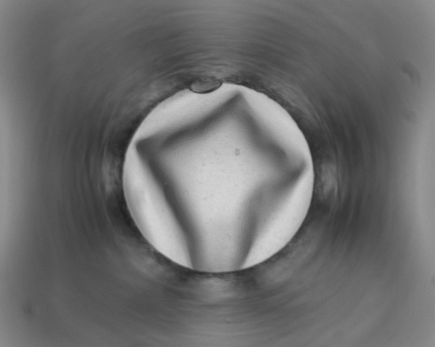 X0000113330236200910051153