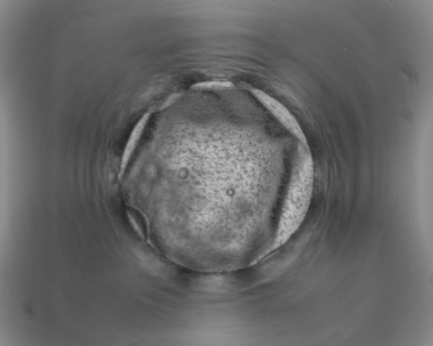 X0000113330237200910051152