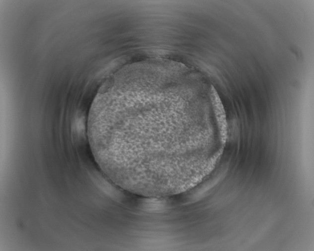 X0000113330238200910051152