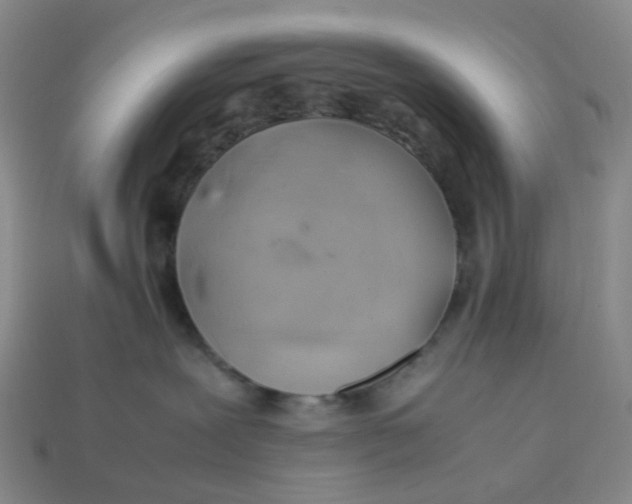 X0000113330239200910051152