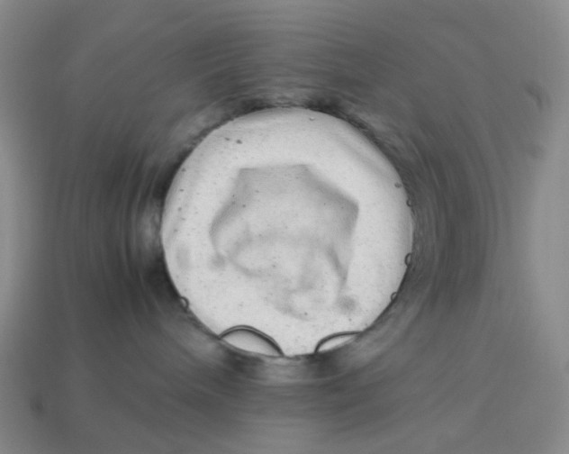 X0000113330240200910051152