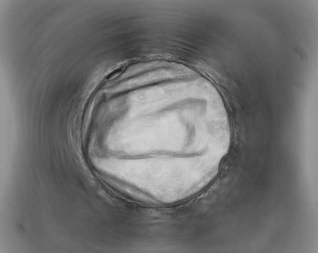 X0000113330241200910051152