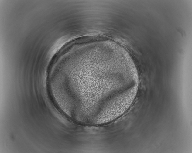 X0000113330242200910051152