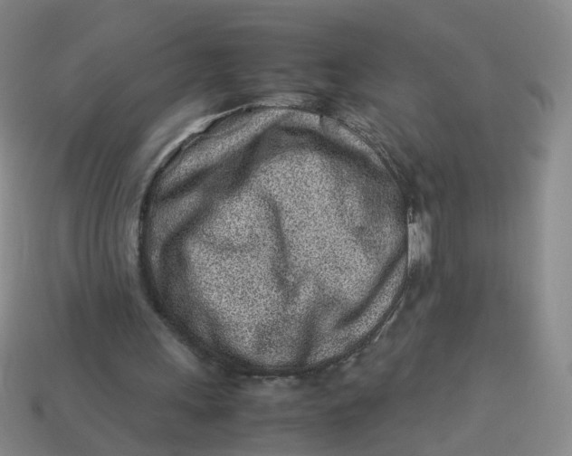 X0000113330243200910051152