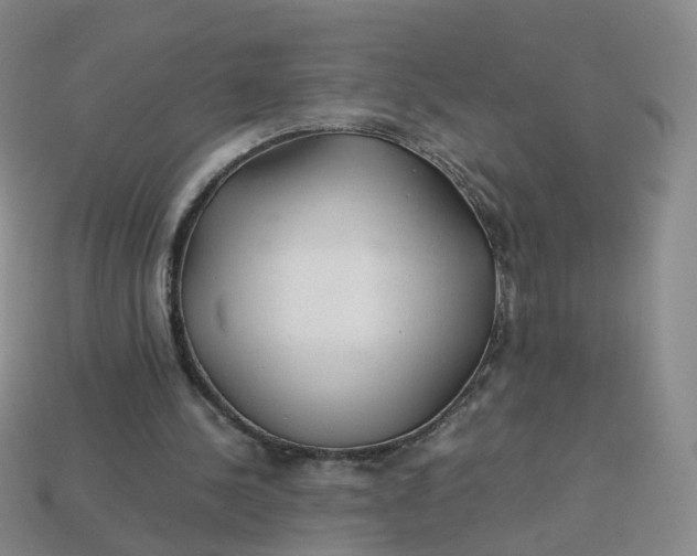 X0000113330244200910051152