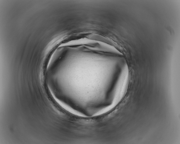 X0000113330245200910051152