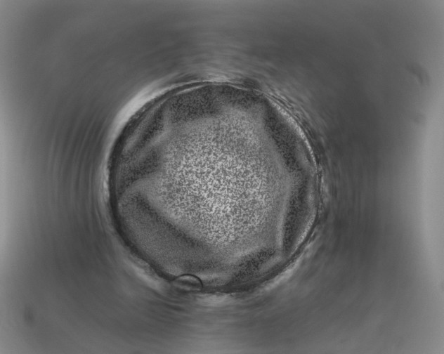 X0000113330246200910051152