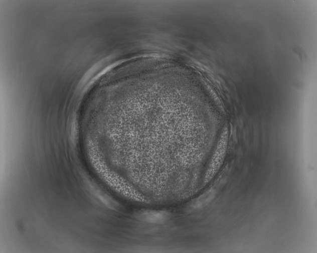 X0000113330247200910051152