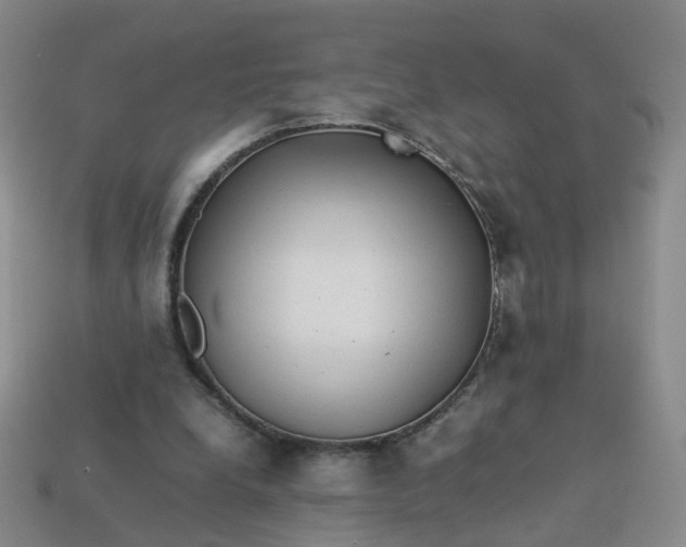 X0000113330248200910051152