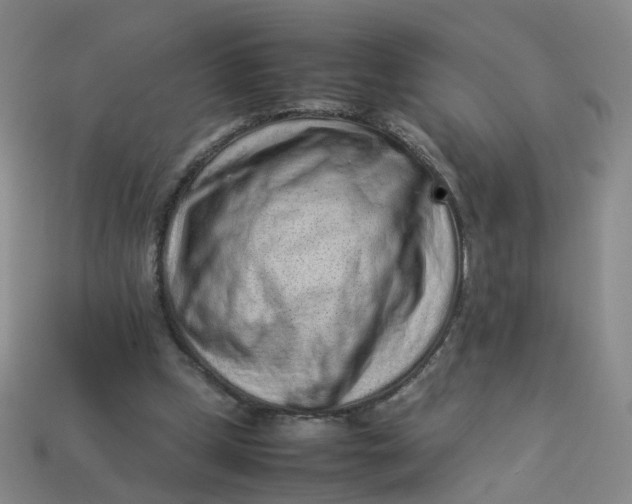 X0000113330249200910051152
