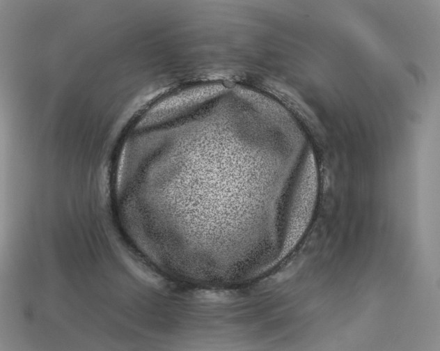 X0000113330250200910051152