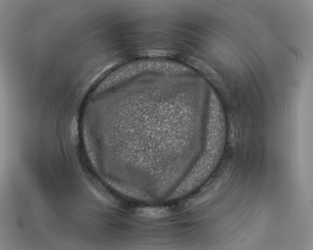 X0000113330251200910051152