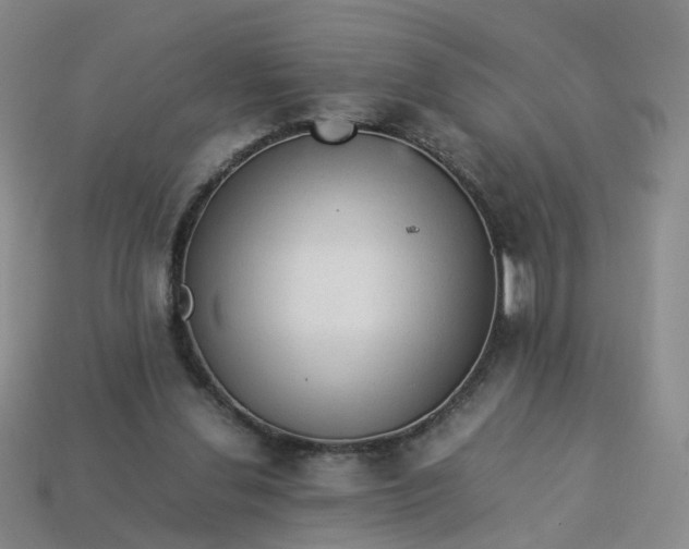 X0000113330252200910051152