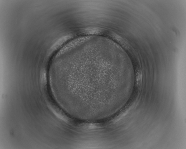 X0000113330254200910051152