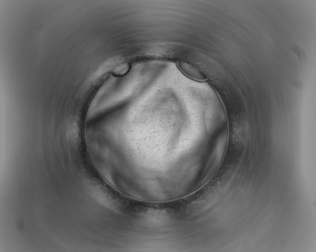 X0000113330256200910051152