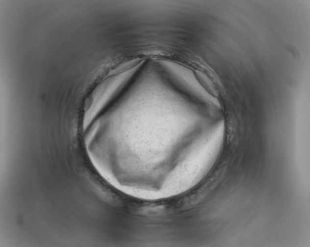 X0000113330257200910051152
