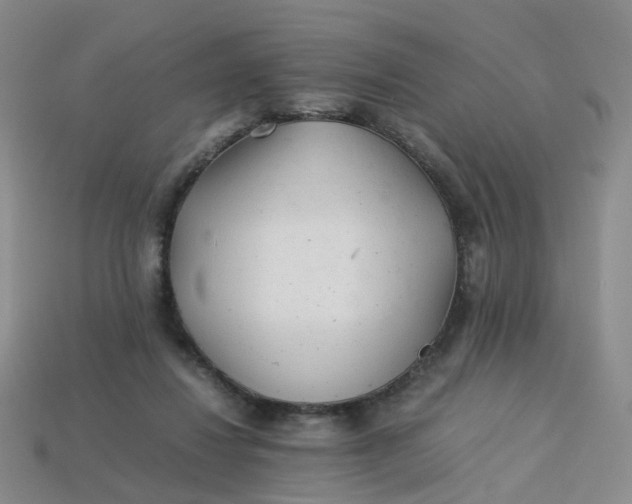 X0000113330260200910051152