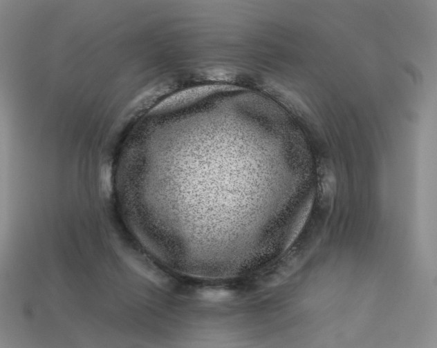 X0000113330262200910051152