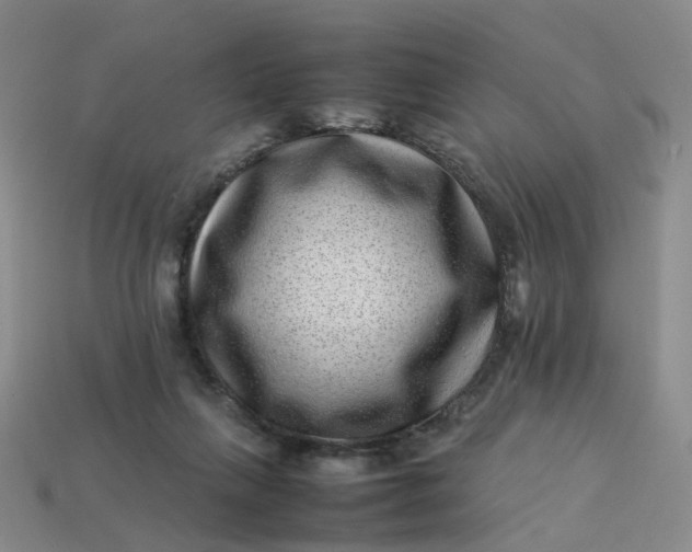 X0000113330263200910051152