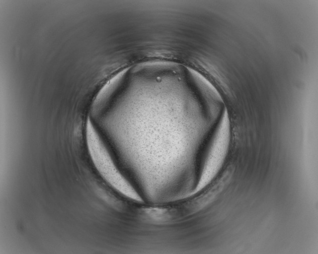 X0000113330265200910051152