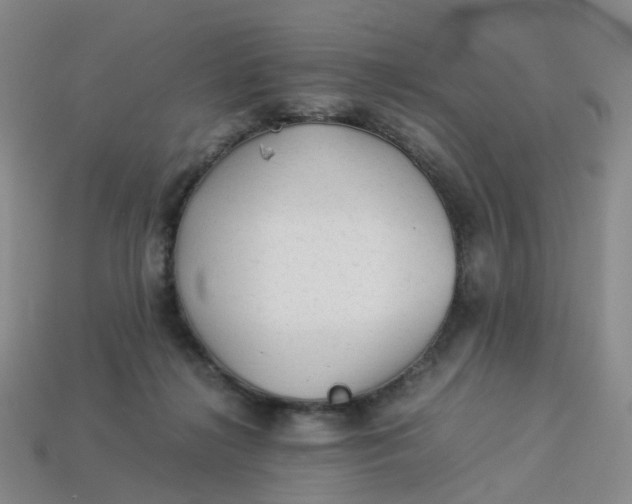 X0000113330268200910051152