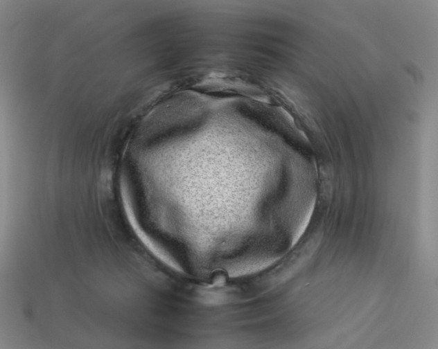 X0000113330269200910051152