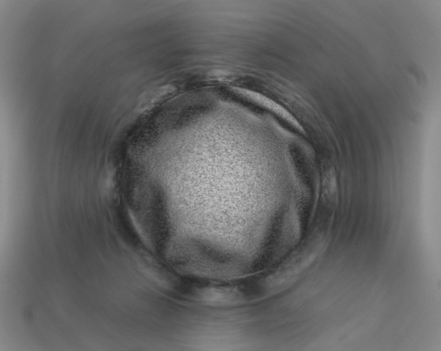 X0000113330270200910051152