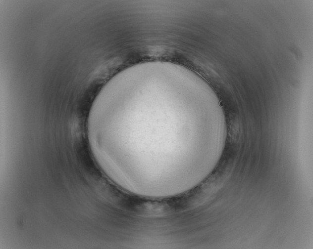 X0000113330272200910051152